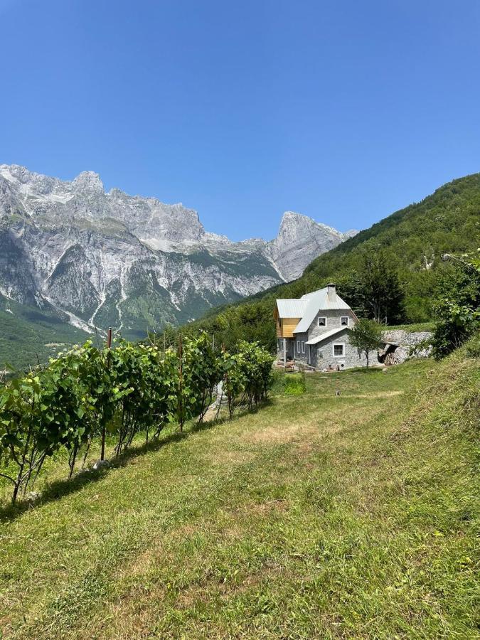Mountain Vista Shkafi