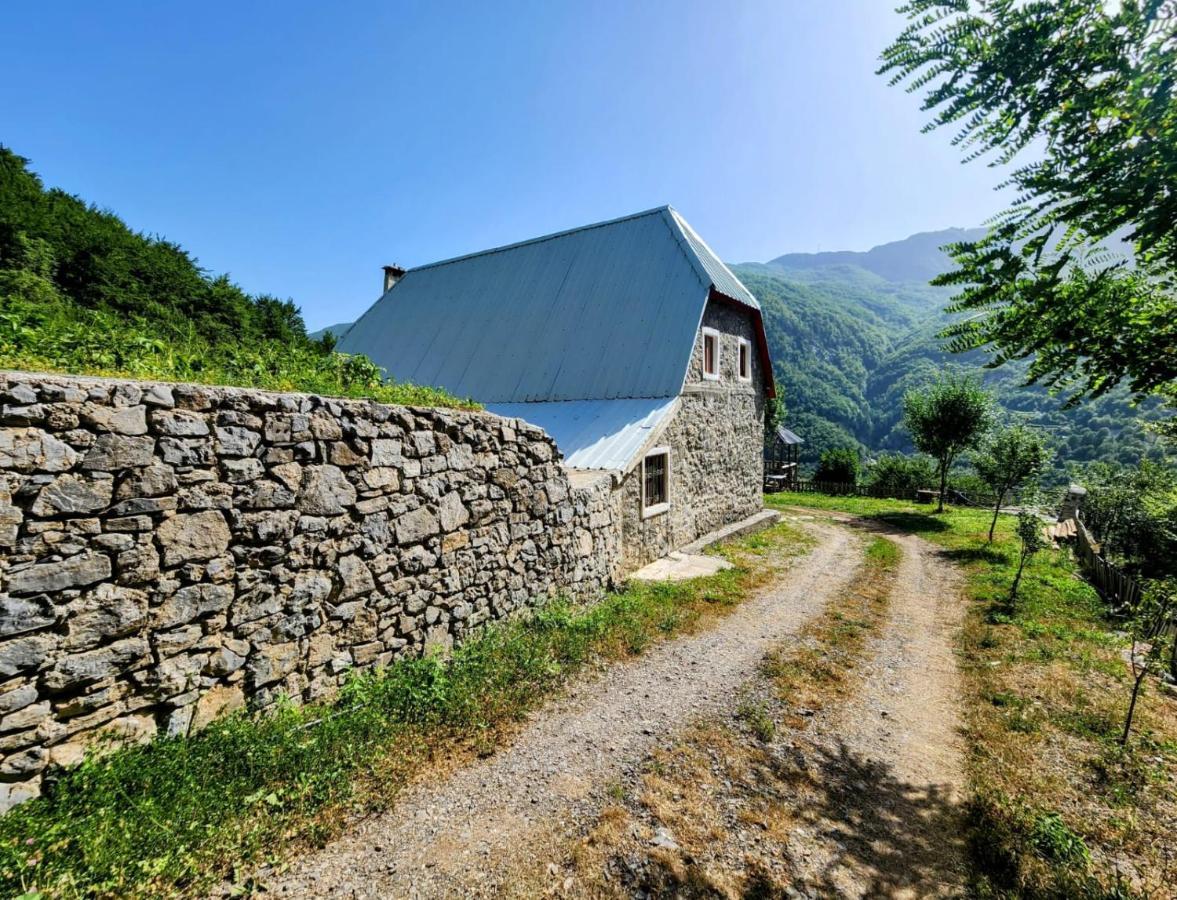 Mountain Vista Shkafi